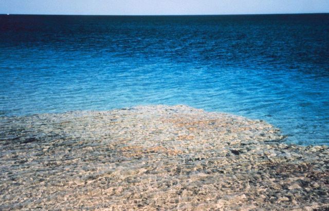 The reef at Sharam-el-Sheik. Picture