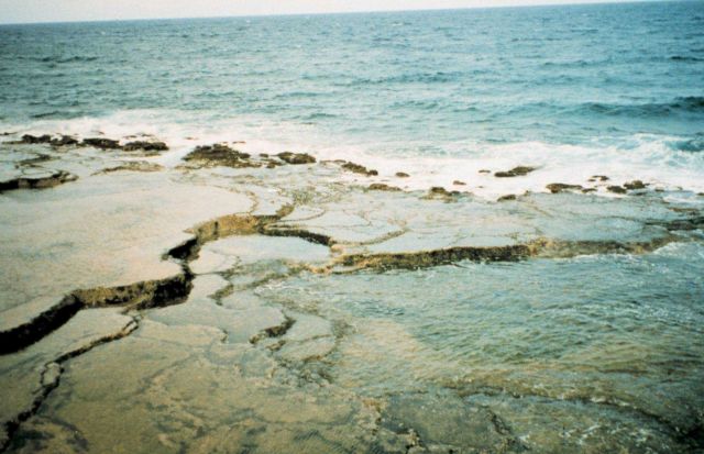 Coral rock terraces on the coast of Guam Picture