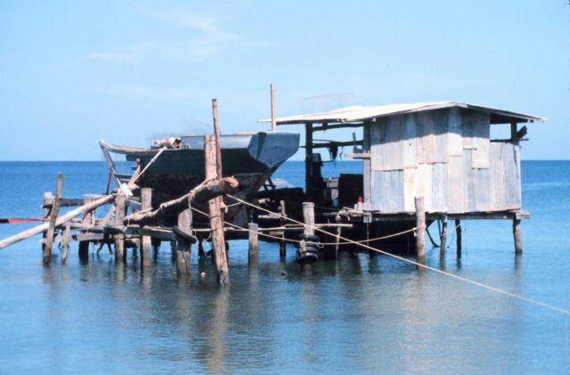 A fishing hut and boat stand on pilings in Man-of-War Bay Picture