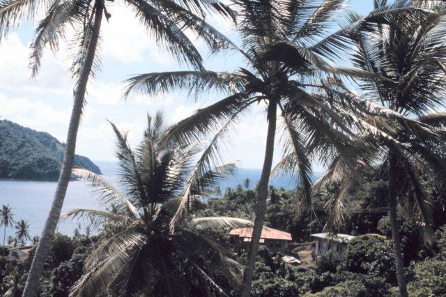 A view of Man-of-War Bay and Charlottesville Picture