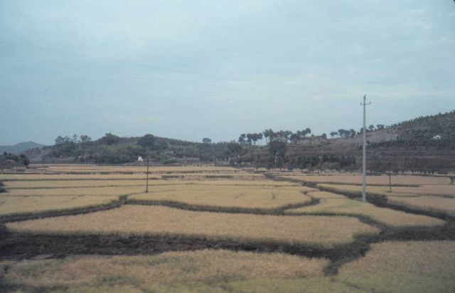 South China countryside - a view from the train. Picture