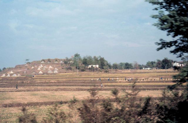 South China countryside - a view from the train. Picture