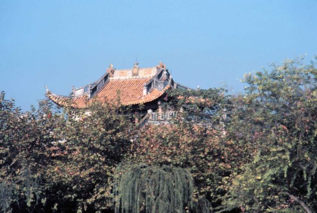 Temple roof seen over foliage Picture