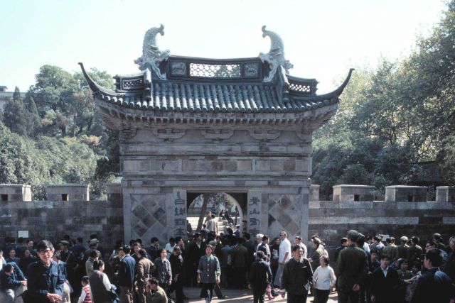 Decorative gate Picture