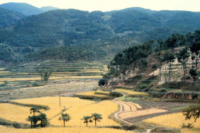 View of Chinese countryside with terraced hills Picture