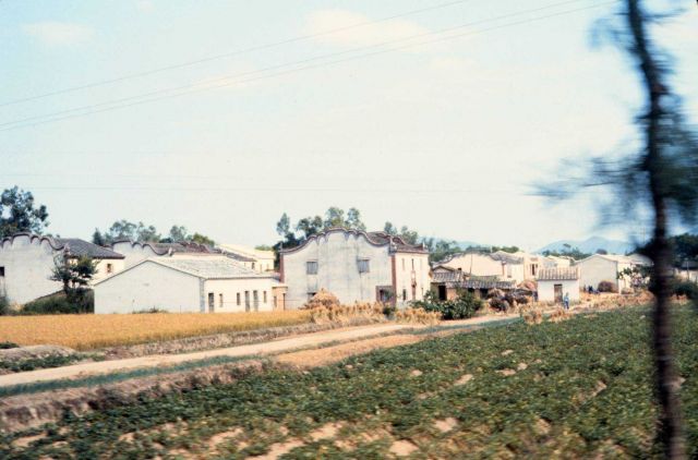 Country village Picture