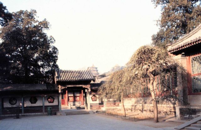 The Summer Palace at Beijing. Picture