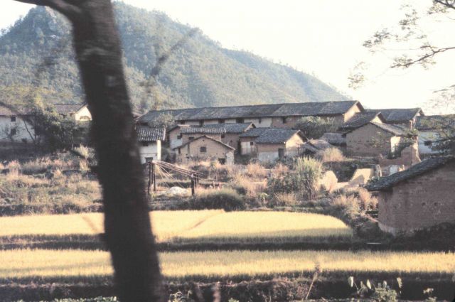 A country village. Picture