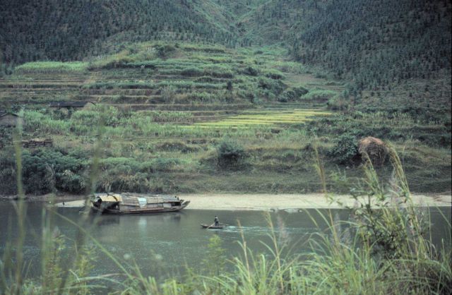 Terraced rice paddies seen over a river. Picture