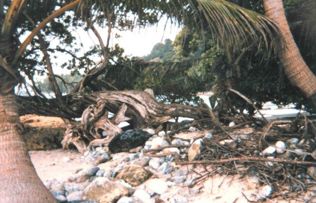Uninhabited island in Eastern Tropical Pacific Picture