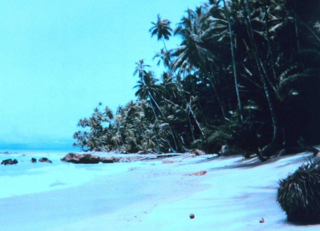 Uninhabited island in Eastern Tropical Pacific Picture