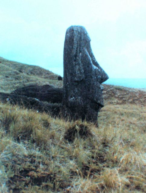 The stone quarry at Easter Island. Picture