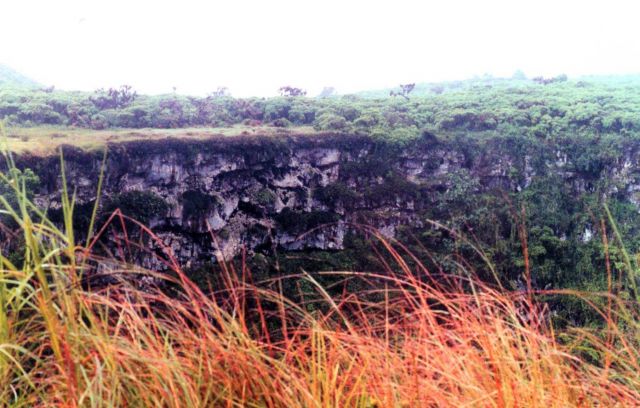 Lava cliffs and greenery adorn the some of the higher areas of the Galapagos Islands. Picture