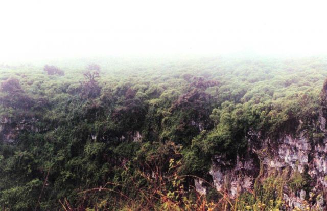 Lava cliffs and greenery adorn the some of the higher areas of the Galapagos Islands. Picture