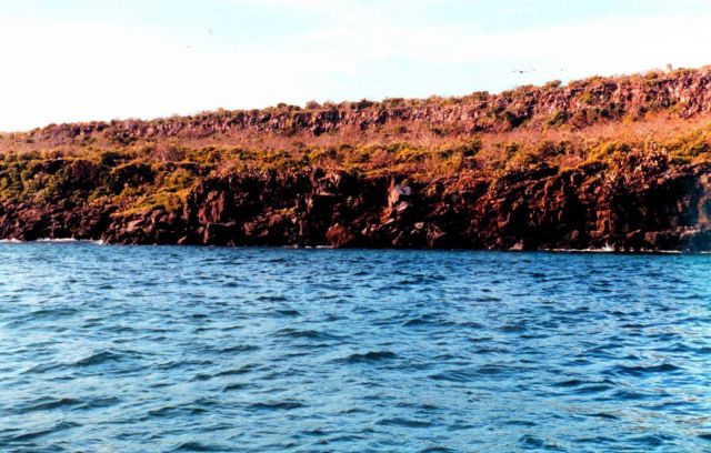 Red lava cliffs. Picture