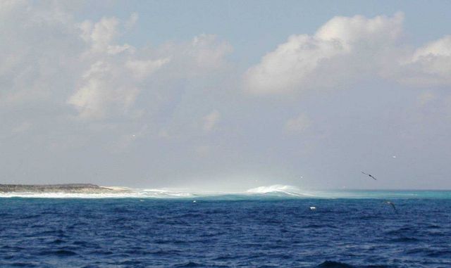 Surf at Clipperton Island. Picture