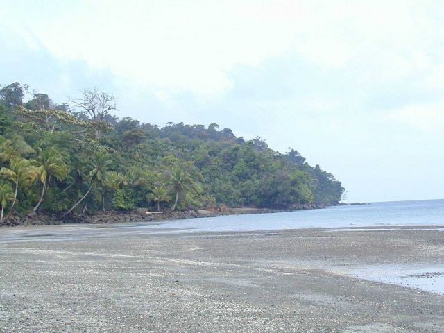 The beach at Isla Gorgona. Picture