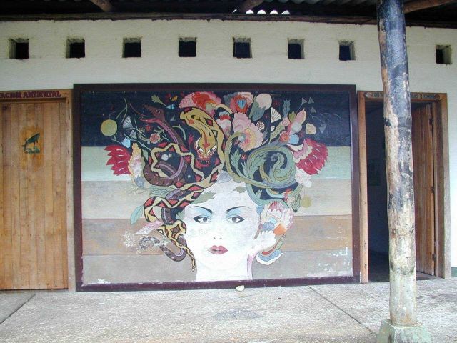 The Gorgon -- the namesake of Isla Gorgona, known for its snakes. Picture
