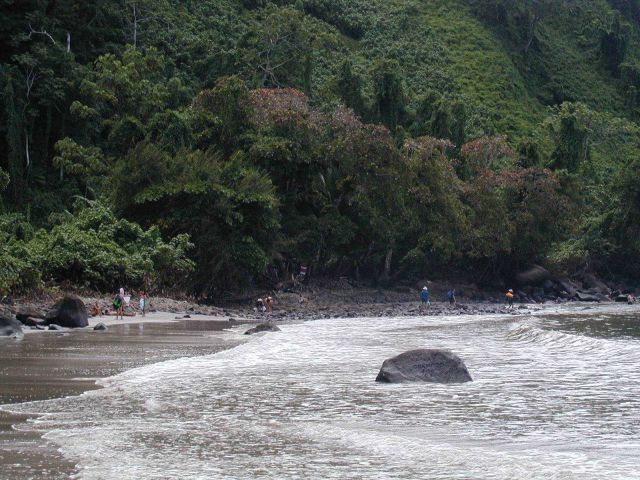 Crew and scientists adventuring on the beach at Isla Cocos. Picture