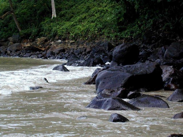 A rocky beach on Isla Cocos. Picture