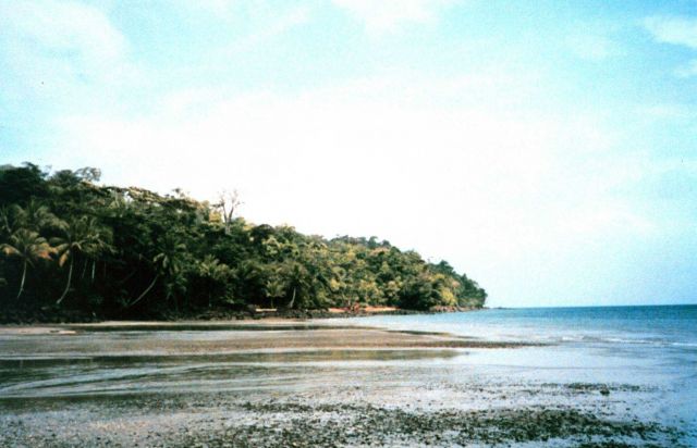 The beach at Isla Gorgona. Picture