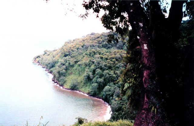 A view from the hills of Isla Cocos. Picture