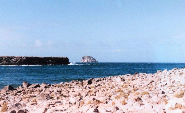 Rock and sea at Plazas Island Picture
