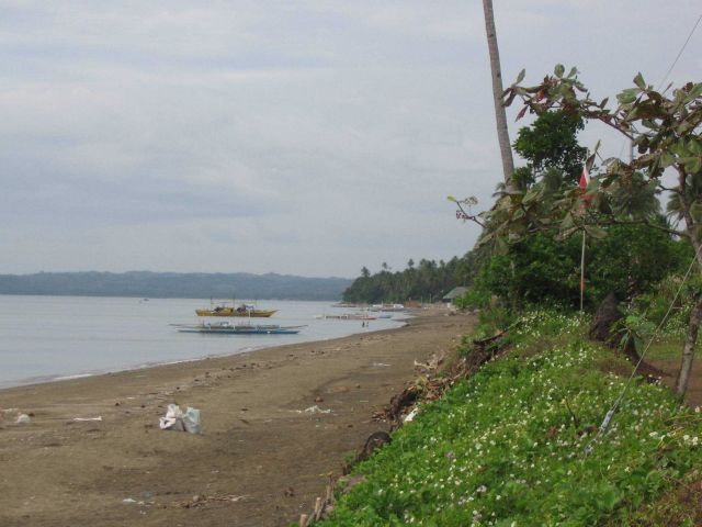 Donsol Beach at Amor Resort in the Legaspi area. Picture