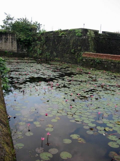 The lily pond of the inner fort of the Intramuros of Manila. Picture