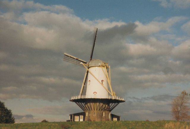Wind power as practiced for centuries Picture