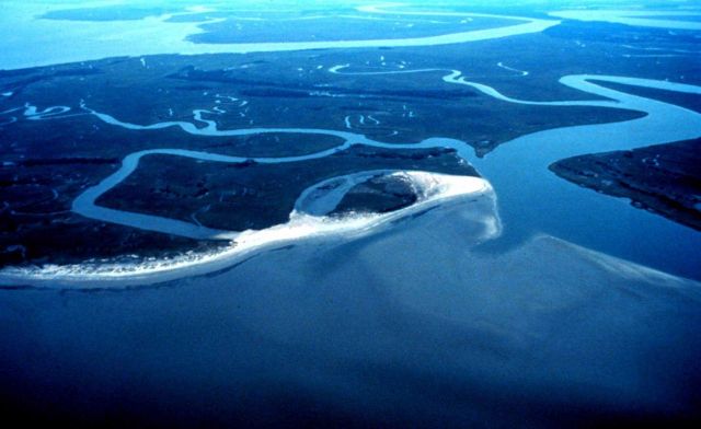 ACE Basin National Estuarine Research Reserve Picture