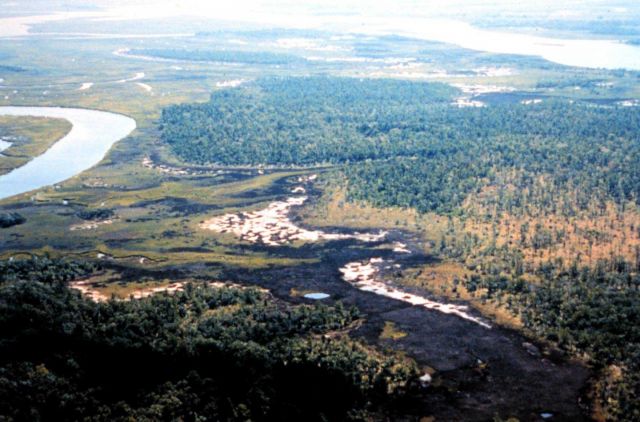 ACE Basin National Estuarine Research Reserve Picture
