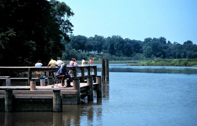 Chesapeake Bay - Maryland National Estuarine Research Reserve. Picture