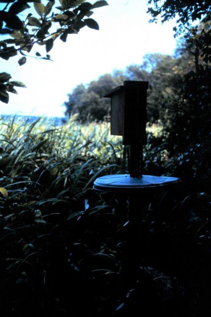 Chesapeake Bay - Maryland National Estuarine Research Reserve. Picture