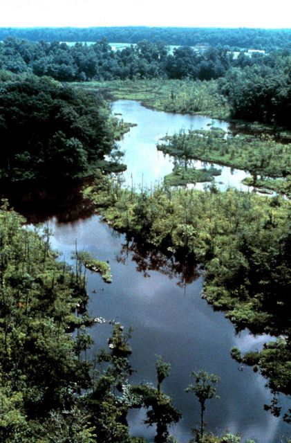 Delaware National Estuarine Research Reserve. Picture