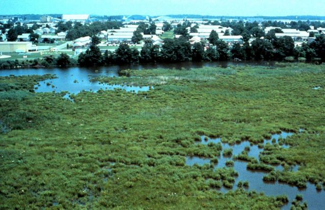 Delaware National Estuarine Research Reserve. Picture