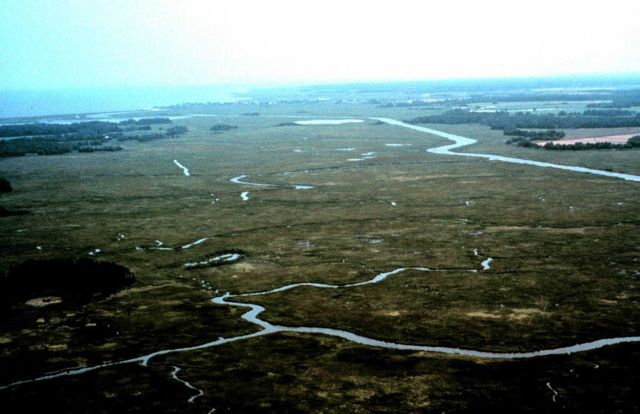 Delaware National Estuarine Research Reserve. Picture