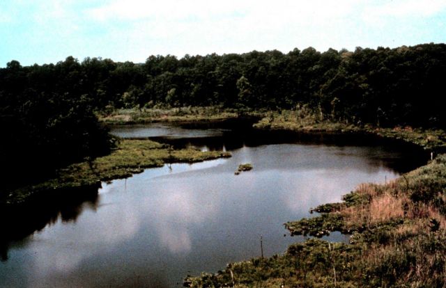 Delaware National Estuarine Research Reserve. Picture