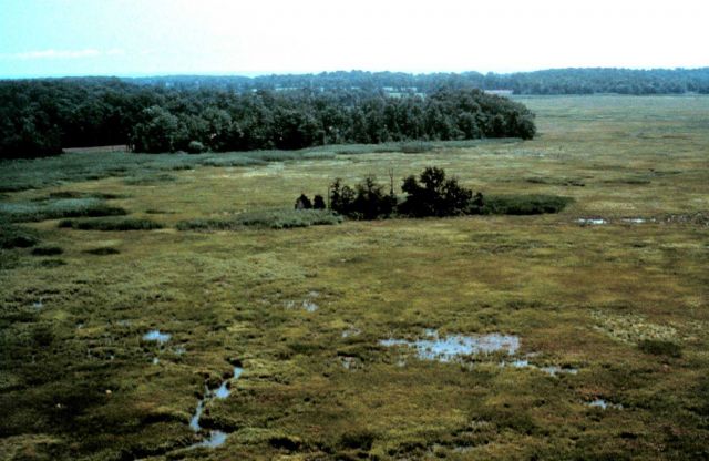 Delaware National Estuarine Research Reserve. Picture