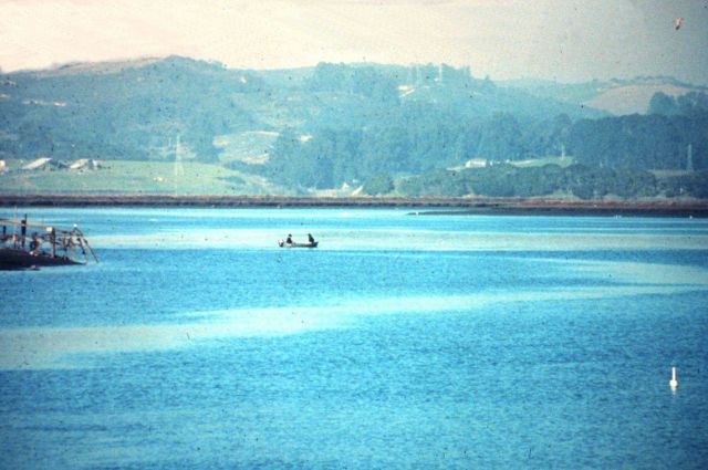 Elkhorn Slough National Estuarine Research Reserve. Picture