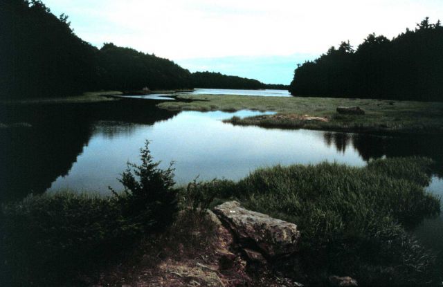 Great Bay National Estuarine Research Reserve. Picture