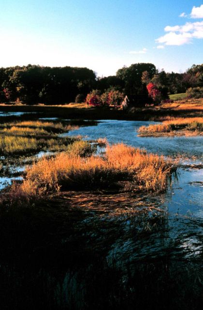 Great Bay National Estuarine Research Reserve. Picture