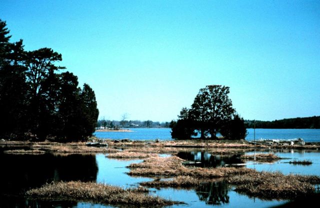 Great Bay National Estuarine Research Reserve. Picture