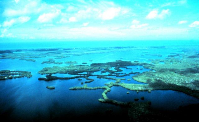 Rookery Bay National Estuarine Research Reserve. Picture