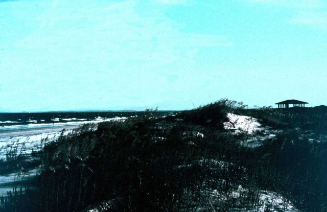 Sapelo Island National Estuarine Research Reserve. Picture