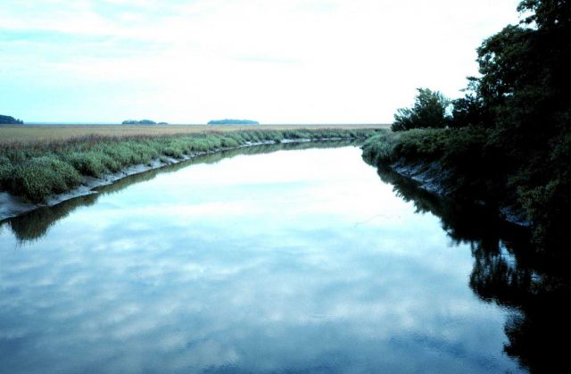 Sapelo Island National Estuarine Research Reserve. Picture