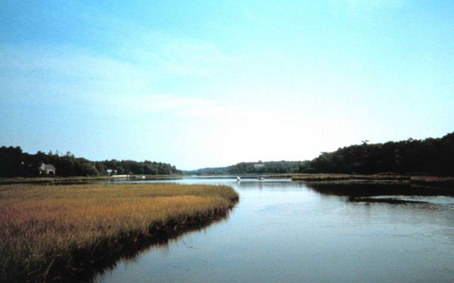 Waquoit Bay National Estuarine Research Reserve. Picture