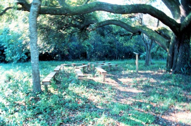 Weeks Bay National Estuarine Research Reserve. Picture