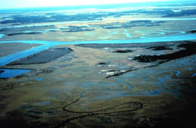ACE Basin National Estuarine Research Reserve Picture