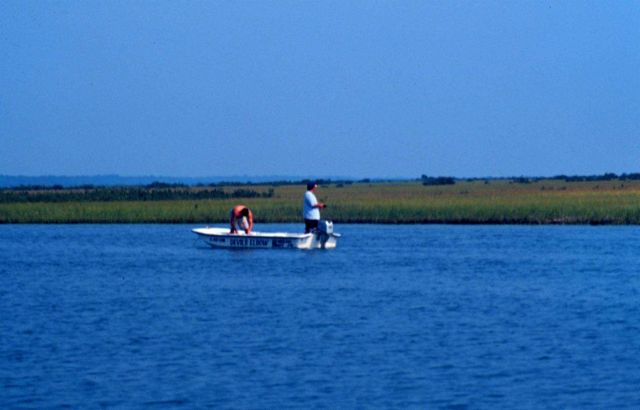 Guana Tolomato Matanzas National Estuarine Research Reserve. Picture